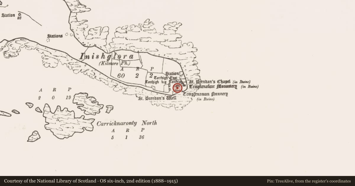 Ordnance Survey six-inch map, 2nd edition (1888–1915) covering the location of Cross-slab, Inis Gluaire, County Mayo, with a pin at the register's coordinates