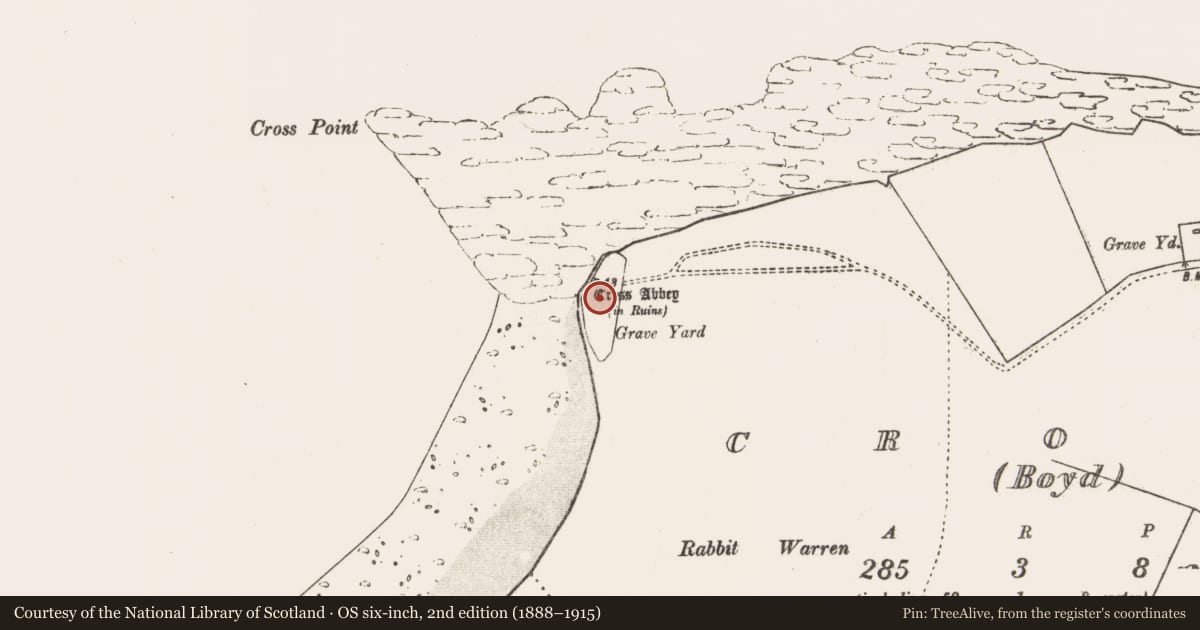 Ordnance Survey six-inch map, 2nd edition (1888–1915) covering the location of Graveyard, An Chrois, County Mayo, with a pin at the register's coordinates