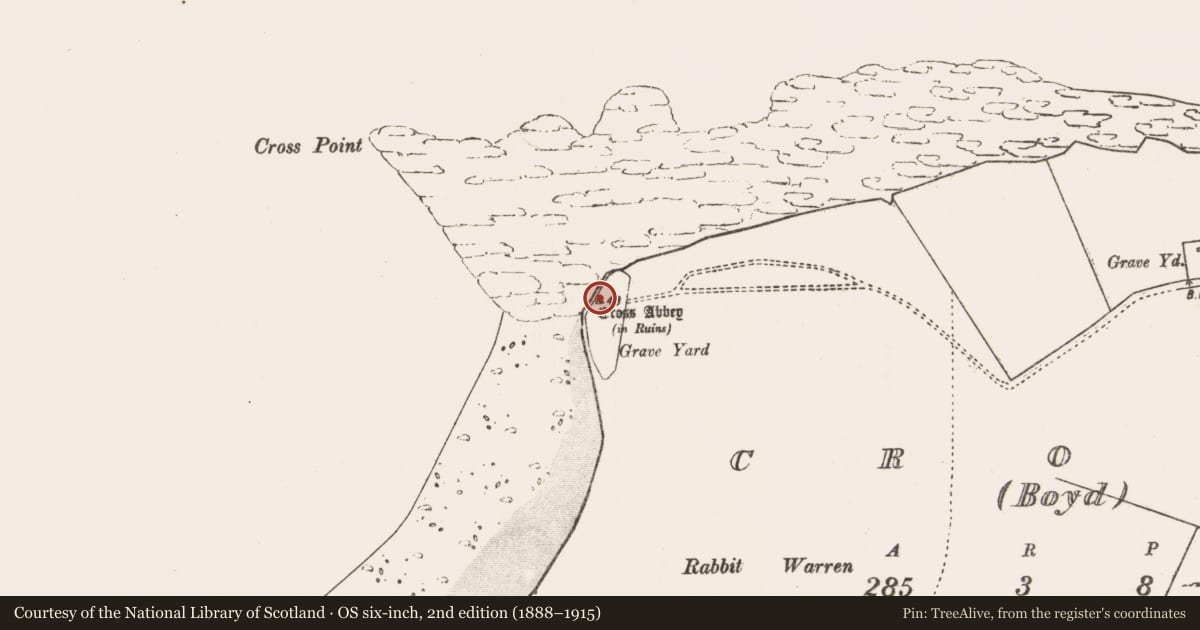 Ordnance Survey six-inch map, 2nd edition (1888–1915) covering the location of Ogham stone, An Chrois, County Mayo, with a pin at the register's coordinates