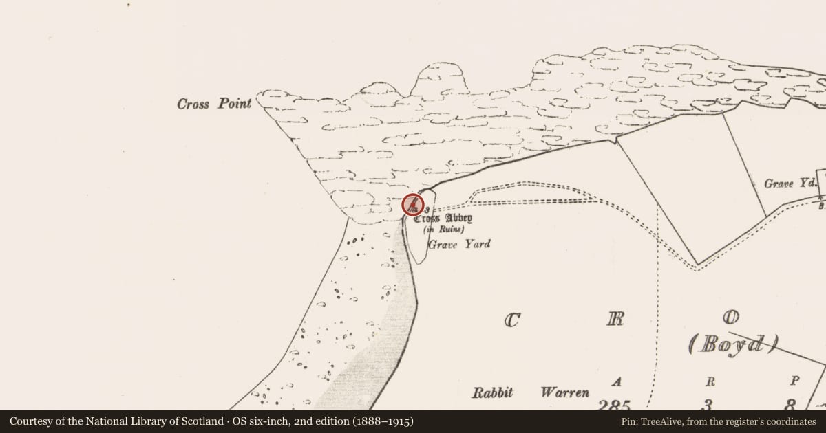 Ordnance Survey six-inch map, 2nd edition (1888–1915) covering the location of Cross, An Chrois, County Mayo, with a pin at the register's coordinates