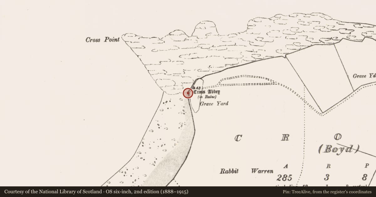 Ordnance Survey six-inch map, 2nd edition (1888–1915) covering the location of Midden, An Chrois, County Mayo, with a pin at the register's coordinates