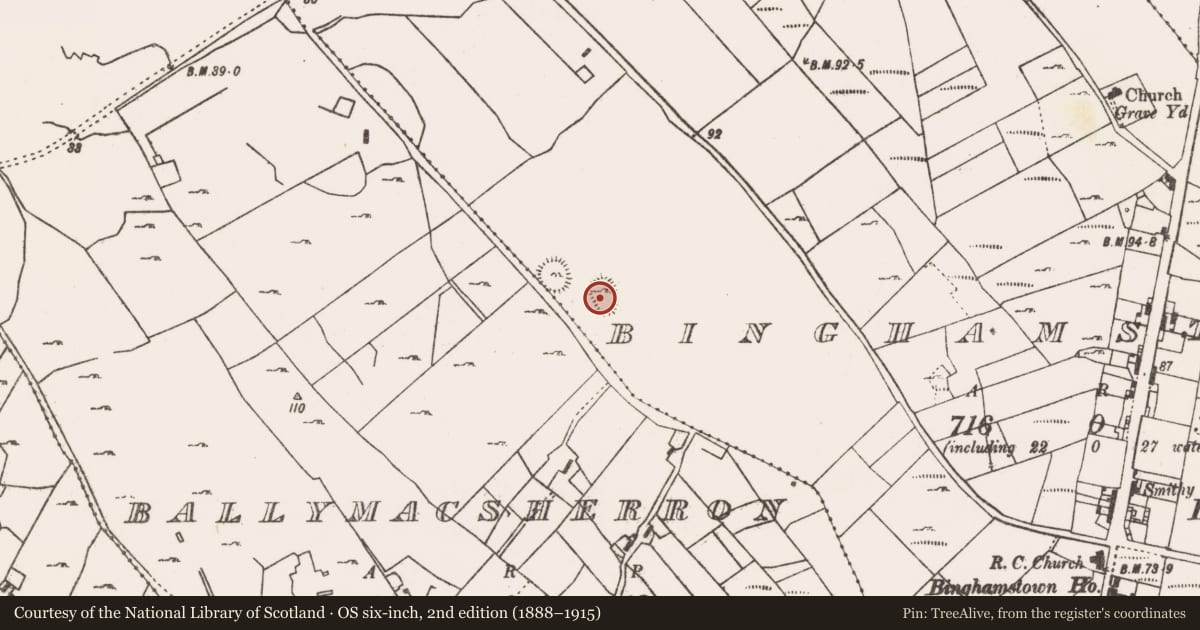 Ordnance Survey six-inch map, 2nd edition (1888–1915) covering the location of Enclosure, An Geata Mór, County Mayo, with a pin at the register's coordinates