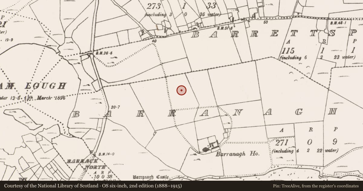 Ordnance Survey six-inch map, 2nd edition (1888–1915) covering the location of Standing stone, Bearanach Thoir, County Mayo, with a pin at the register's coordinates