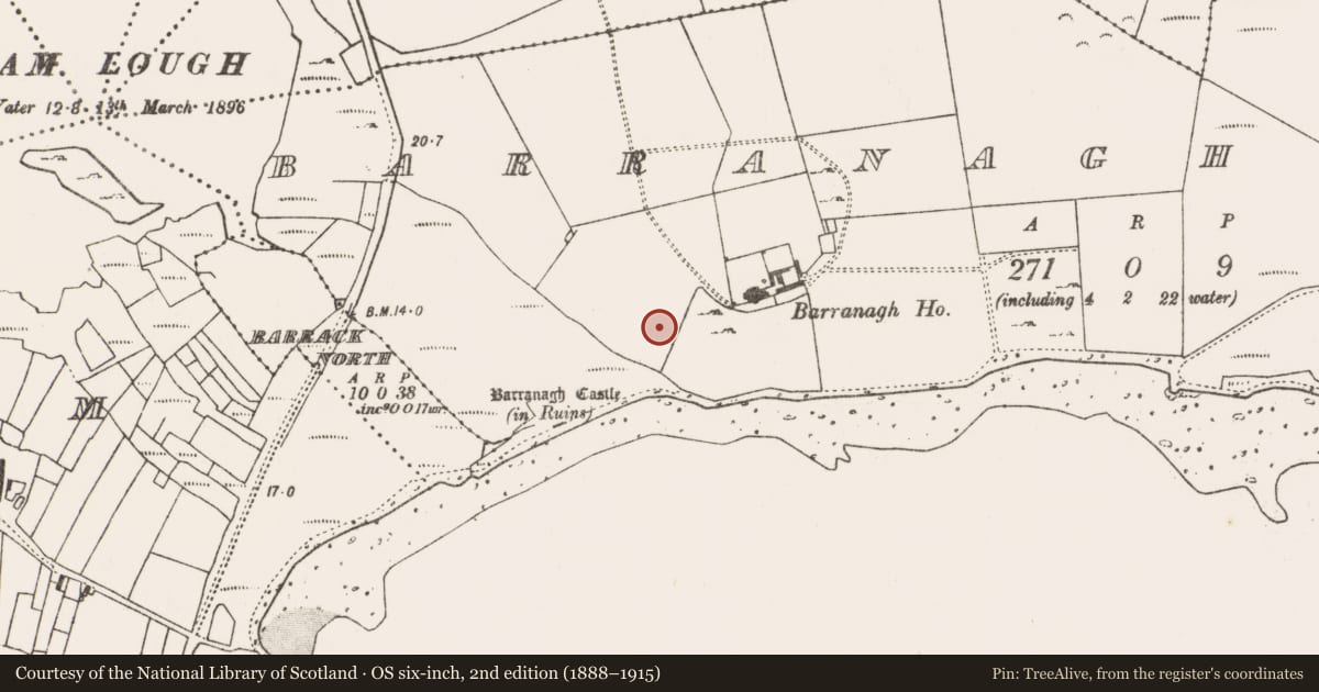 Ordnance Survey six-inch map, 2nd edition (1888–1915) covering the location of Standing stone, Bearanach Thoir, County Mayo, with a pin at the register's coordinates