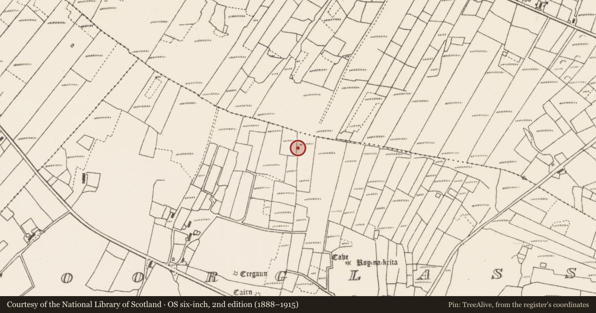 Ordnance Survey six-inch map, 2nd edition (1888–1915) covering the location of Standing stone, An Tuar Glas, County Mayo, with a pin at the register's coordinates
