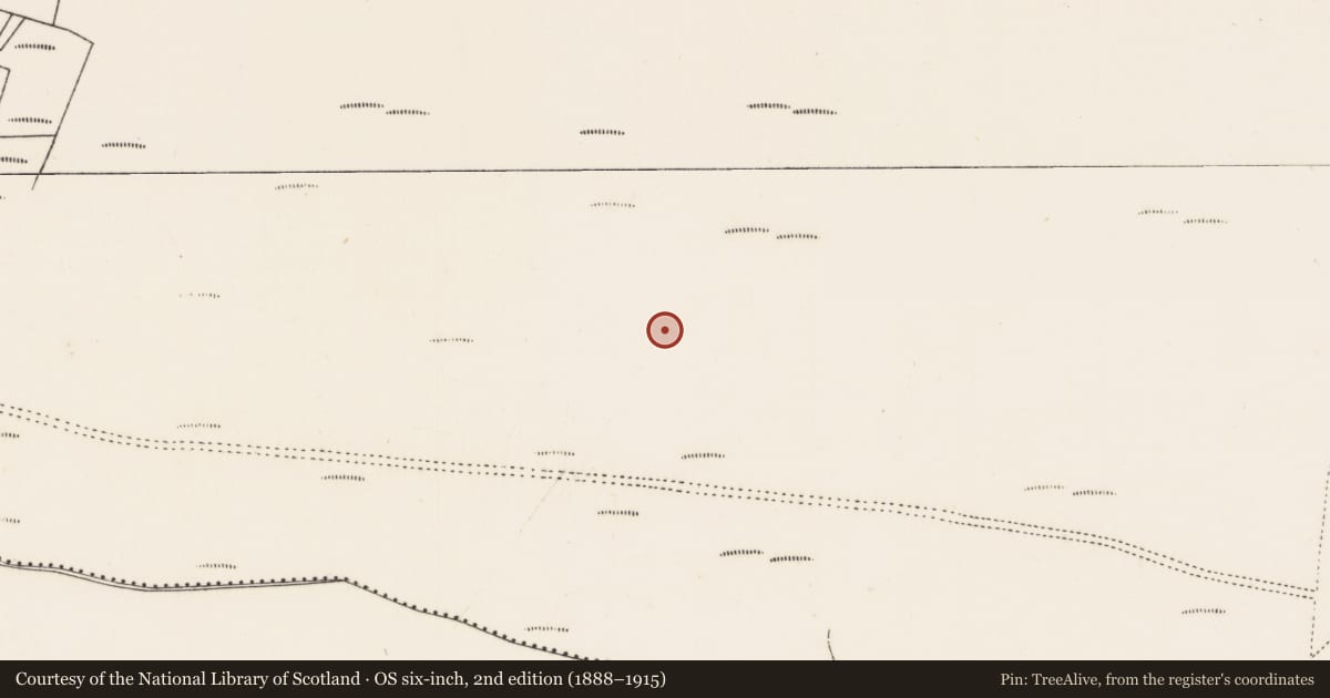 Ordnance Survey six-inch map, 2nd edition (1888–1915) covering the location of Megalithic tomb - court tomb, Moing Eiriún Theas, County Mayo, with a pin at the register's coordinates