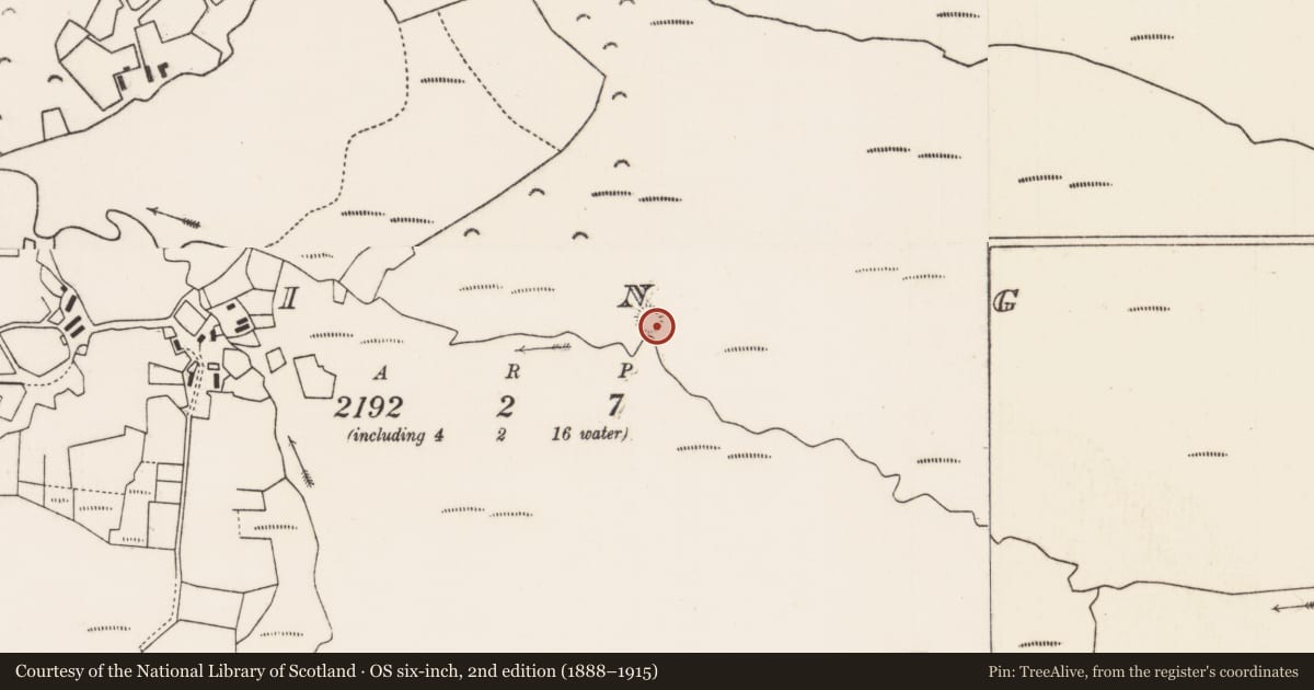 Ordnance Survey six-inch map, 2nd edition (1888–1915) covering the location of Ringfort - cashel, Moing Iongáin, County Mayo, with a pin at the register's coordinates