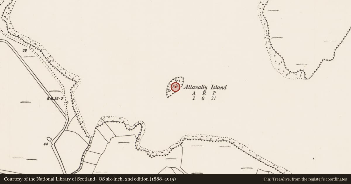 Ordnance Survey six-inch map, 2nd edition (1888–1915) covering the location of Crannog, Carrowmore Lake, County Mayo, with a pin at the register's coordinates