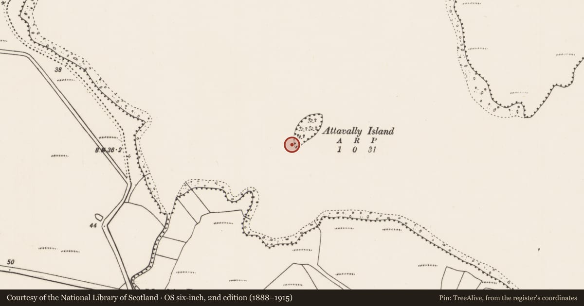 Ordnance Survey six-inch map, 2nd edition (1888–1915) covering the location of Causeway, Carrowmore Lake, County Mayo, with a pin at the register's coordinates