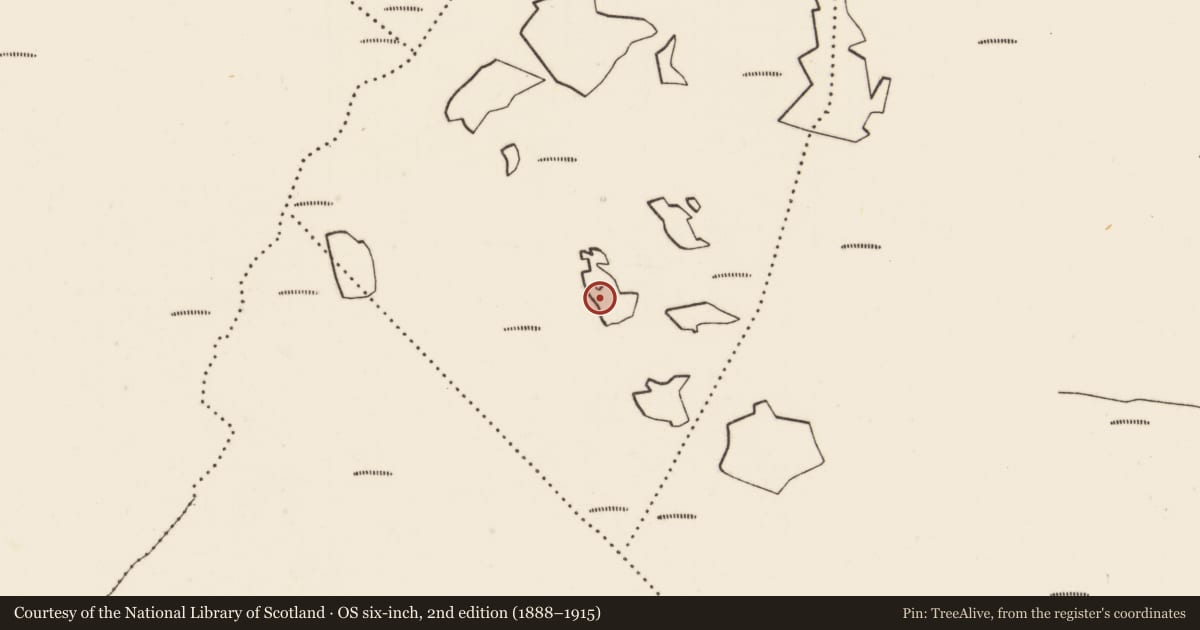 Ordnance Survey six-inch map, 2nd edition (1888–1915) covering the location of Crannog, An Léana Riabhach, County Mayo, with a pin at the register's coordinates
