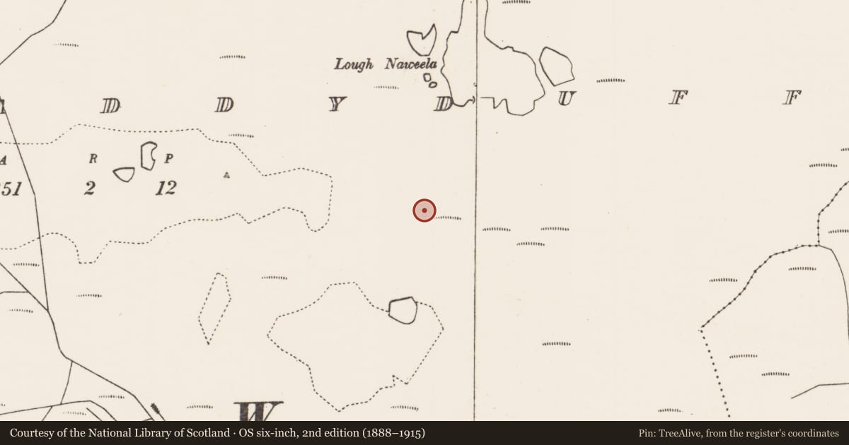 Ordnance Survey six-inch map, 2nd edition (1888–1915) covering the location of Megalithic tomb - court tomb, Tawnywaddyduff, County Mayo, with a pin at the register's coordinates
