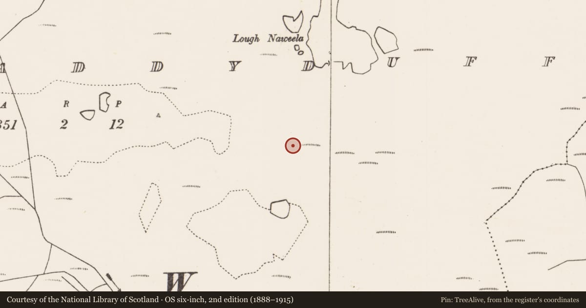Ordnance Survey six-inch map, 2nd edition (1888–1915) covering the location of Stone row, Tawnywaddyduff, County Mayo, with a pin at the register's coordinates