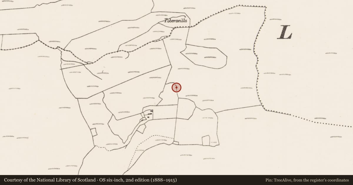 Ordnance Survey six-inch map, 2nd edition (1888–1915) covering the location of Children's burial ground, Crocknacally, County Mayo, with a pin at the register's coordinates
