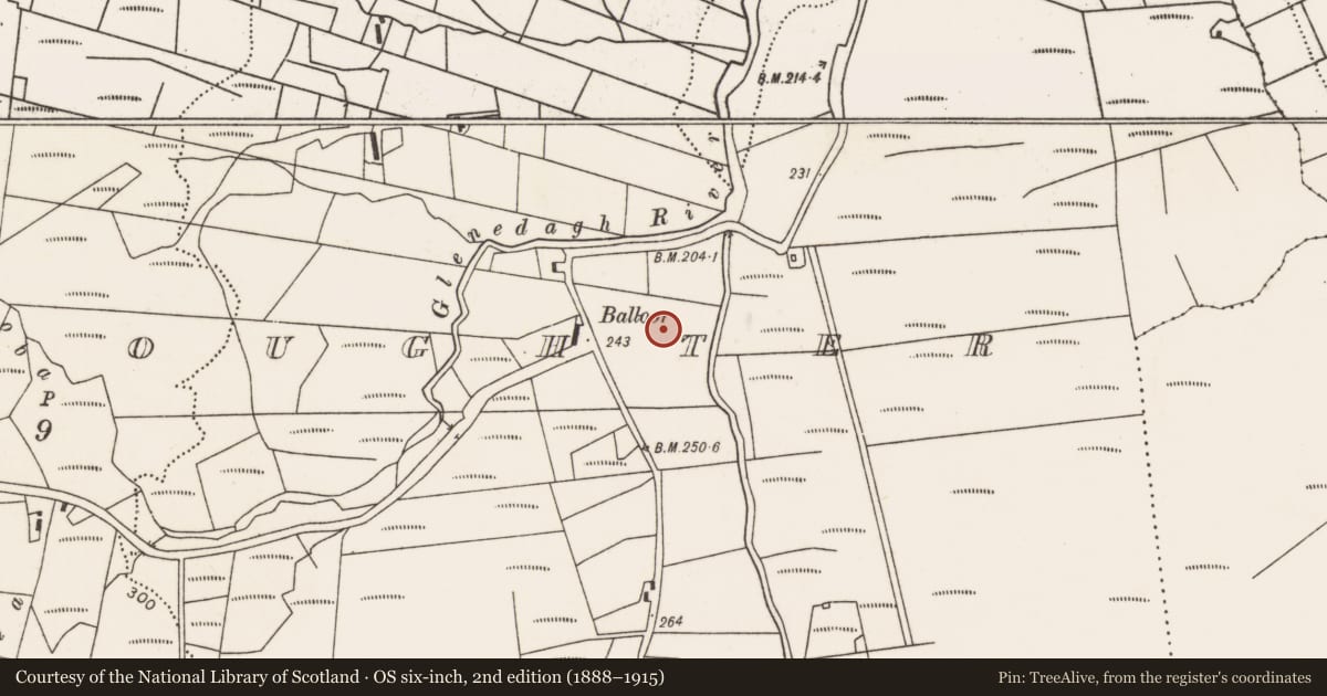 Ordnance Survey six-inch map, 2nd edition (1888–1915) covering the location of Ringfort - cashel, Glenedagh Oughter, County Mayo, with a pin at the register's coordinates