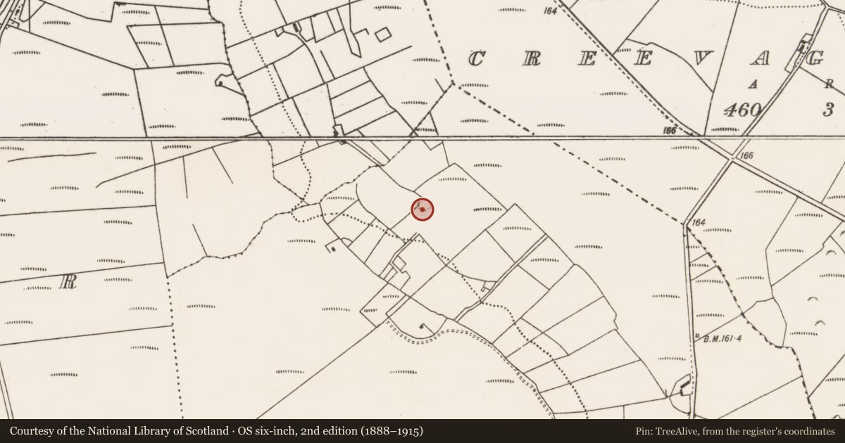 Ordnance Survey six-inch map, 2nd edition (1888–1915) covering the location of Ringfort - rath, Ratheskin, County Mayo, with a pin at the register's coordinates