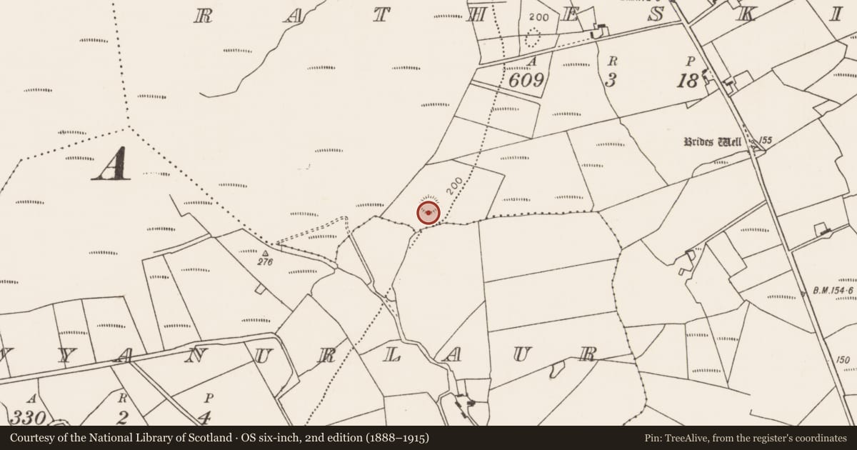 Ordnance Survey six-inch map, 2nd edition (1888–1915) covering the location of Ringfort - rath, Ratheskin, County Mayo, with a pin at the register's coordinates