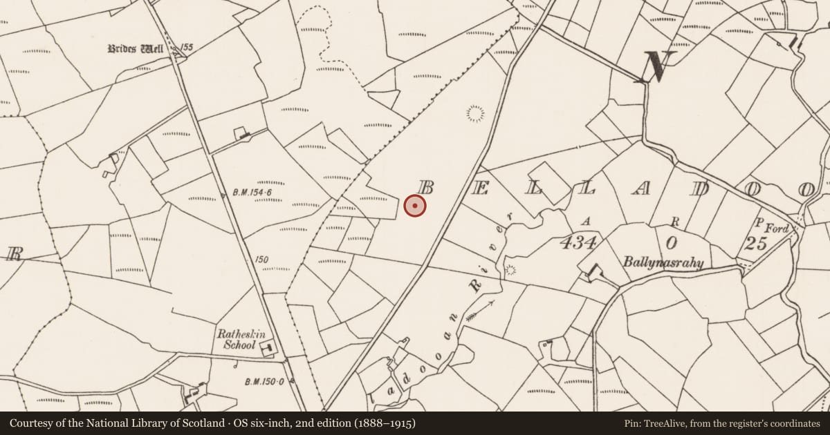 Ordnance Survey six-inch map, 2nd edition (1888–1915) covering the location of Megalithic tomb - unclassified, Belladooan, County Mayo, with a pin at the register's coordinates