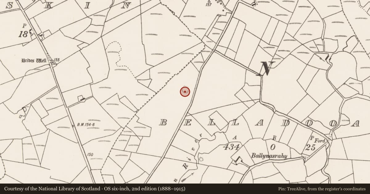 Ordnance Survey six-inch map, 2nd edition (1888–1915) covering the location of Barrow - ring-barrow, Belladooan, County Mayo, with a pin at the register's coordinates