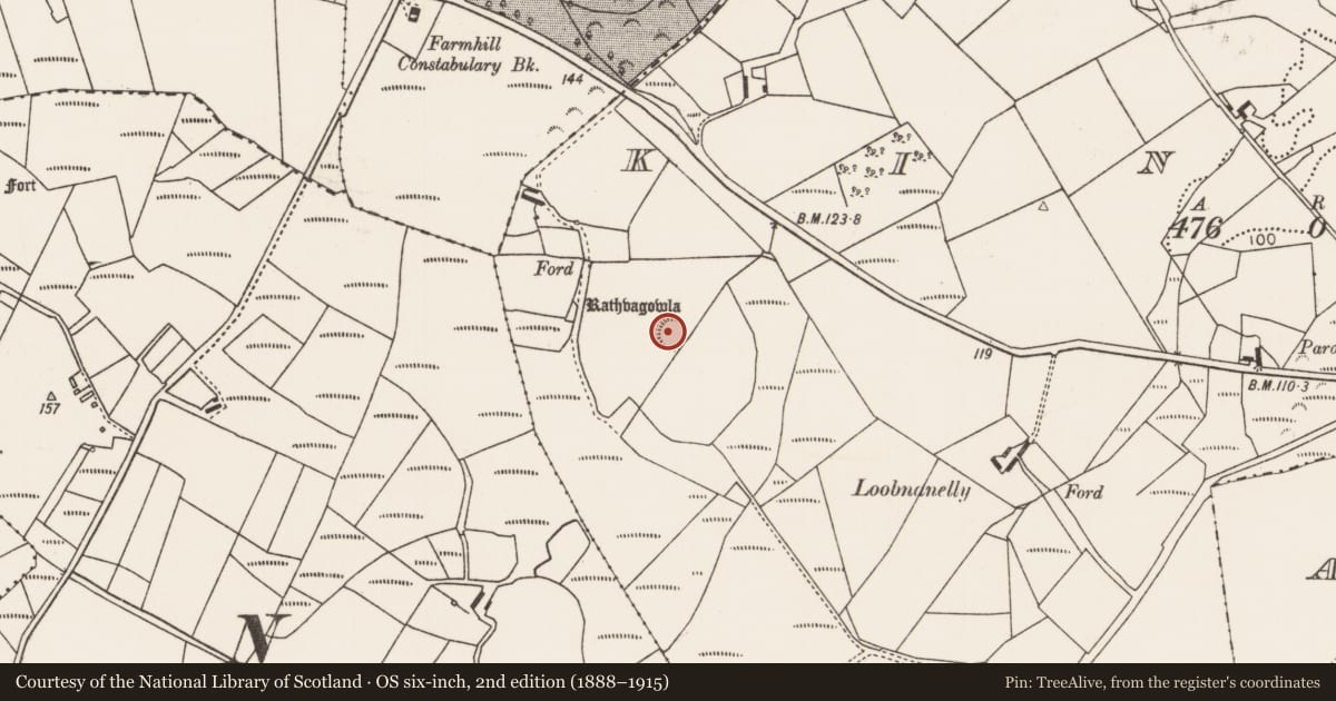 Ordnance Survey six-inch map, 2nd edition (1888–1915) covering the location of Ringfort - rath, Kincon, County Mayo, with a pin at the register's coordinates