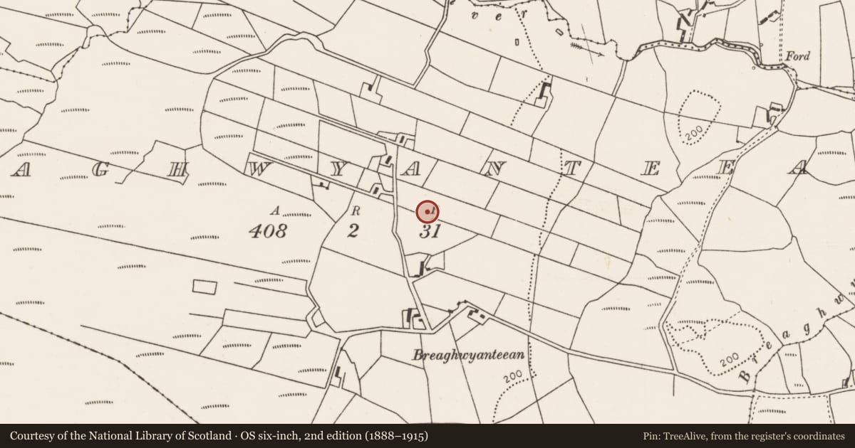 Ordnance Survey six-inch map, 2nd edition (1888–1915) covering the location of Mound, Breaghwyanteean, County Mayo, with a pin at the register's coordinates