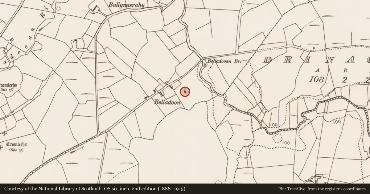 Ordnance Survey six-inch map, 2nd edition (1888–1915) covering the location of Enclosure, Belladooan, County Mayo, with a pin at the register's coordinates