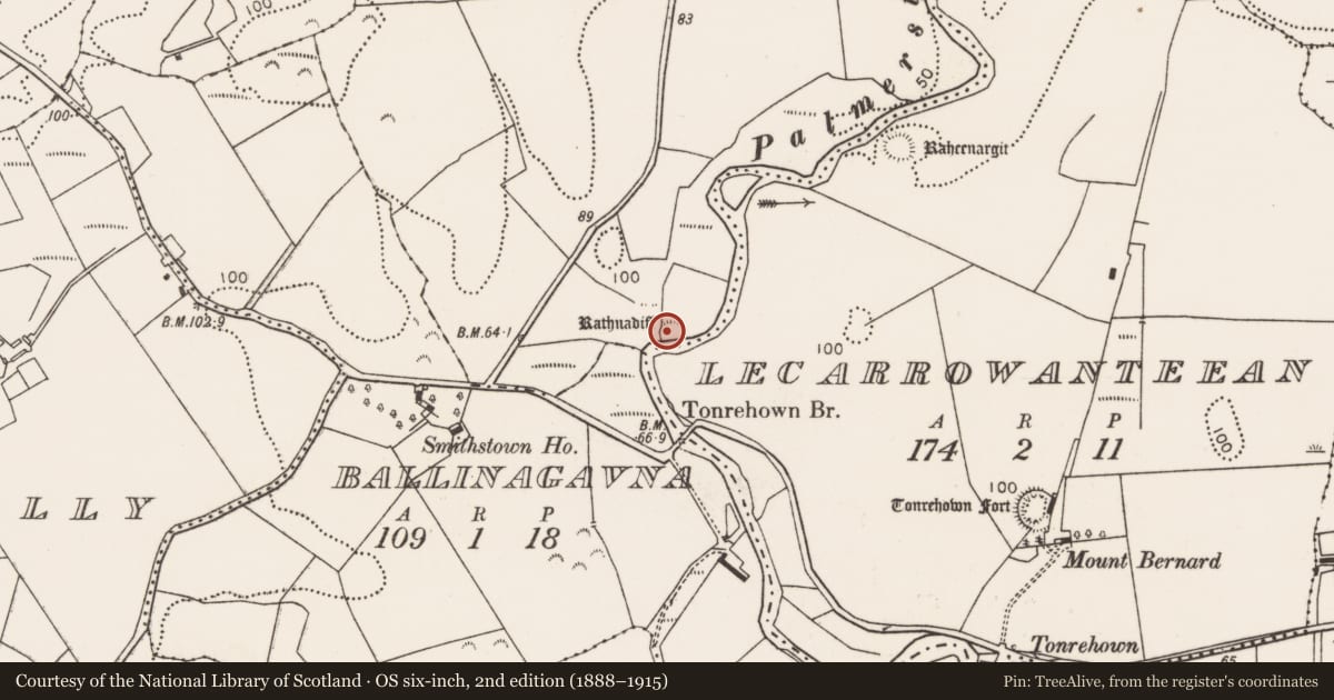 Ordnance Survey six-inch map, 2nd edition (1888–1915) covering the location of Ringfort - rath, Rathnadoffy, County Mayo, with a pin at the register's coordinates