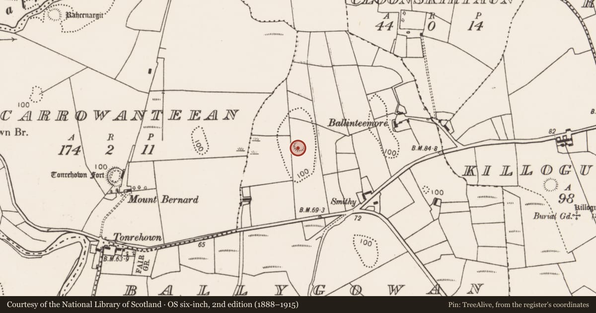 Ordnance Survey six-inch map, 2nd edition (1888–1915) covering the location of Ringfort - rath, Ballygowan, County Mayo, with a pin at the register's coordinates