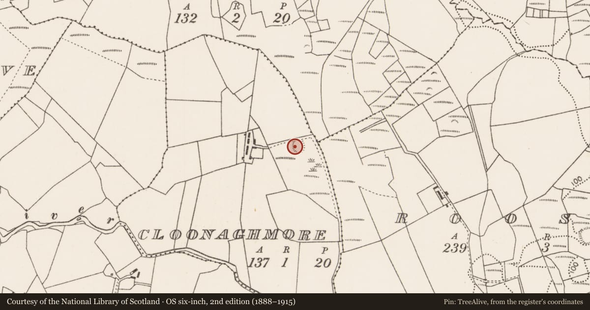 Ordnance Survey six-inch map, 2nd edition (1888–1915) covering the location of Ringfort - rath, Cloonagh More (Tirawley By., Ardagh Par.), County Mayo, with a pin at the register's coordinates