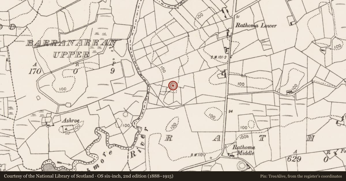 Ordnance Survey six-inch map, 2nd edition (1888–1915) covering the location of Ringfort - rath, Rathoma, County Mayo, with a pin at the register's coordinates