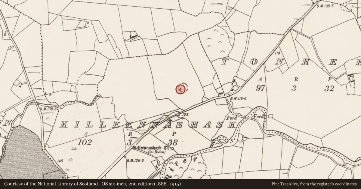 Ordnance Survey six-inch map, 2nd edition (1888–1915) covering the location of Ringfort - rath, Killeennashask, County Mayo, with a pin at the register's coordinates