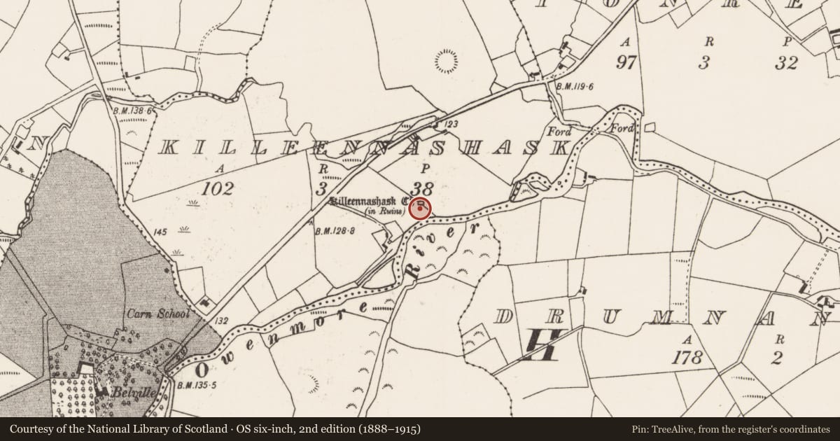 Ordnance Survey six-inch map, 2nd edition (1888–1915) covering the location of Church, Killeennashask, County Mayo, with a pin at the register's coordinates