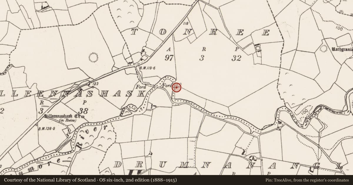 Ordnance Survey six-inch map, 2nd edition (1888–1915) covering the location of Ringfort - rath, Tonree, County Mayo, with a pin at the register's coordinates