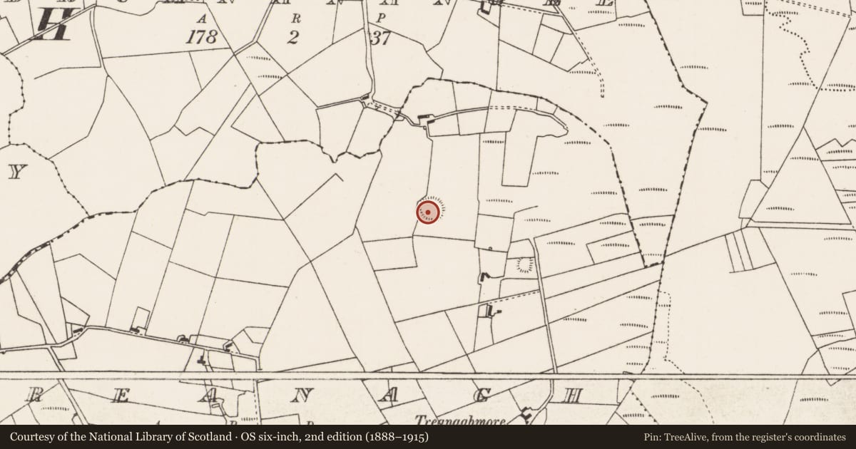 Ordnance Survey six-inch map, 2nd edition (1888–1915) covering the location of Ringfort - rath, Treanagh, County Mayo, with a pin at the register's coordinates