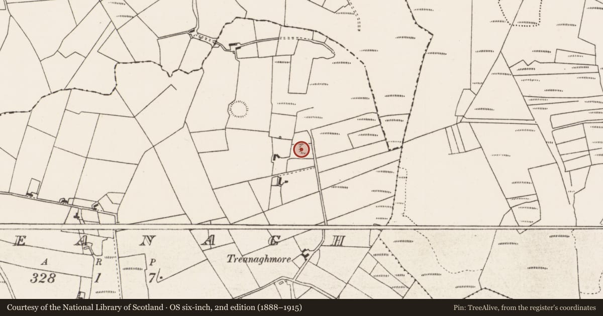 Ordnance Survey six-inch map, 2nd edition (1888–1915) covering the location of Ringfort - rath, Treanagh, County Mayo, with a pin at the register's coordinates