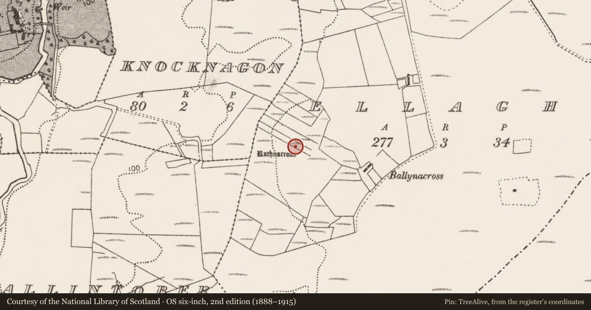 Ordnance Survey six-inch map, 2nd edition (1888–1915) covering the location of Ringfort - rath, Ellaghs, County Mayo, with a pin at the register's coordinates