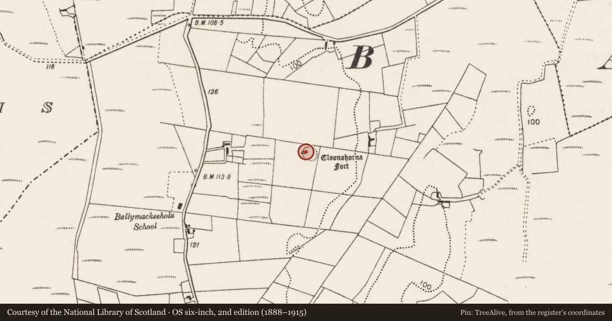 Ordnance Survey six-inch map, 2nd edition (1888–1915) covering the location of Ringfort - rath, Ballymackeehola, County Mayo, with a pin at the register's coordinates