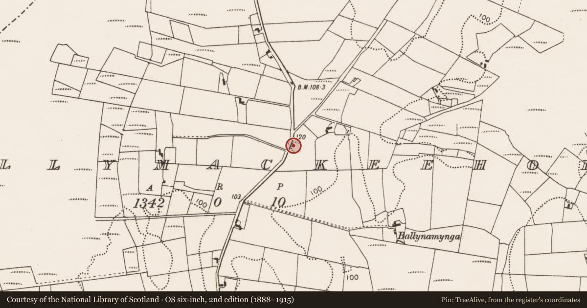 Ordnance Survey six-inch map, 2nd edition (1888–1915) covering the location of Ringfort - rath, Ballymackeehola, County Mayo, with a pin at the register's coordinates