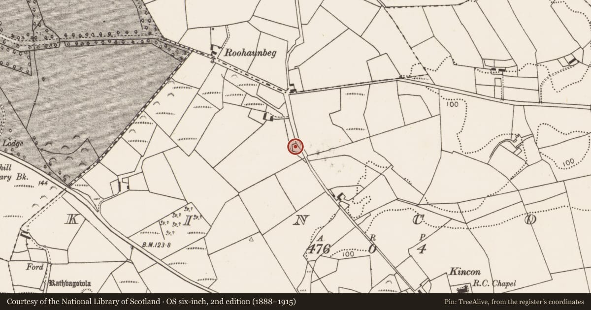 Ordnance Survey six-inch map, 2nd edition (1888–1915) covering the location of Enclosure, Kincon, County Mayo, with a pin at the register's coordinates