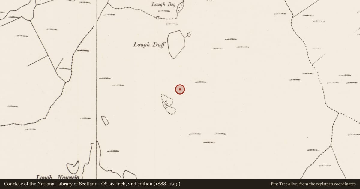 Ordnance Survey six-inch map, 2nd edition (1888–1915) covering the location of Standing stone, Tawnywaddyduff, County Mayo, with a pin at the register's coordinates