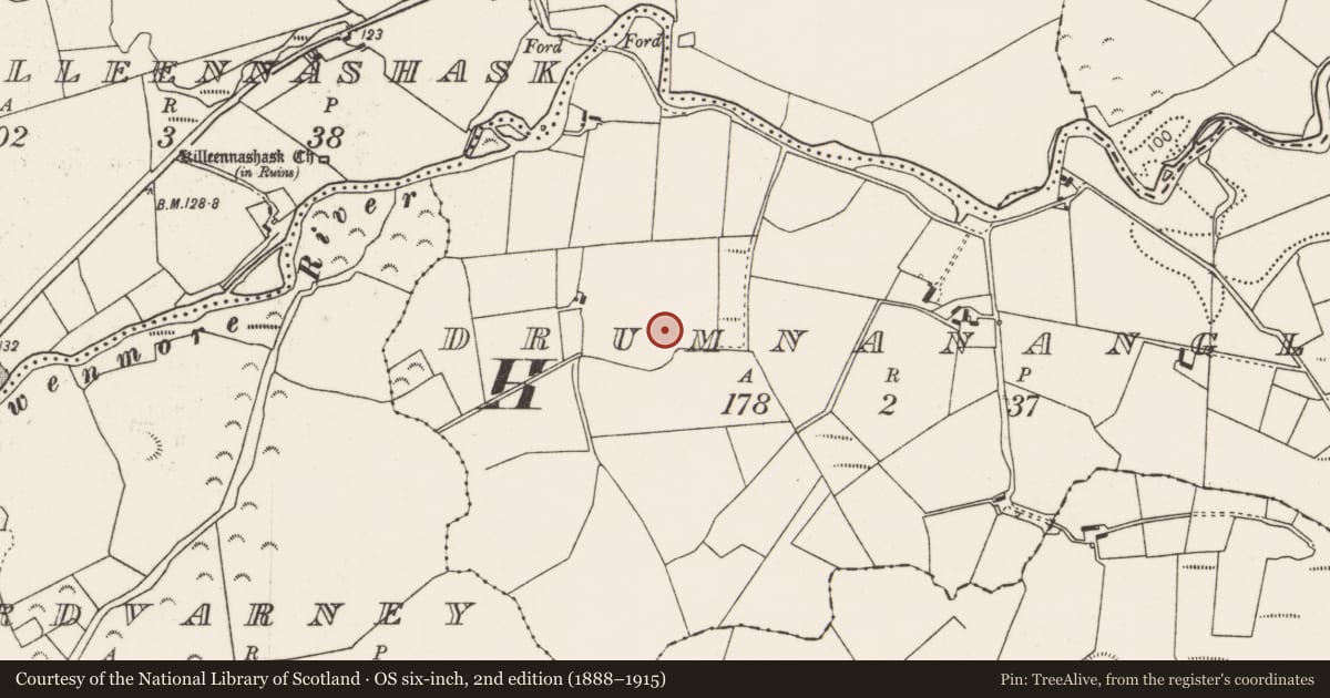 Ordnance Survey six-inch map, 2nd edition (1888–1915) covering the location of Bullaun stone, Drumnanangle, County Mayo, with a pin at the register's coordinates