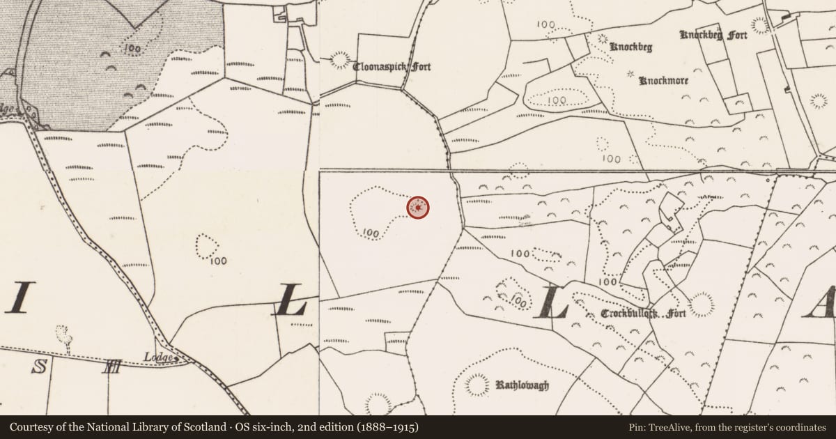 Ordnance Survey six-inch map, 2nd edition (1888–1915) covering the location of Enclosure, Castlereagh, County Mayo, with a pin at the register's coordinates