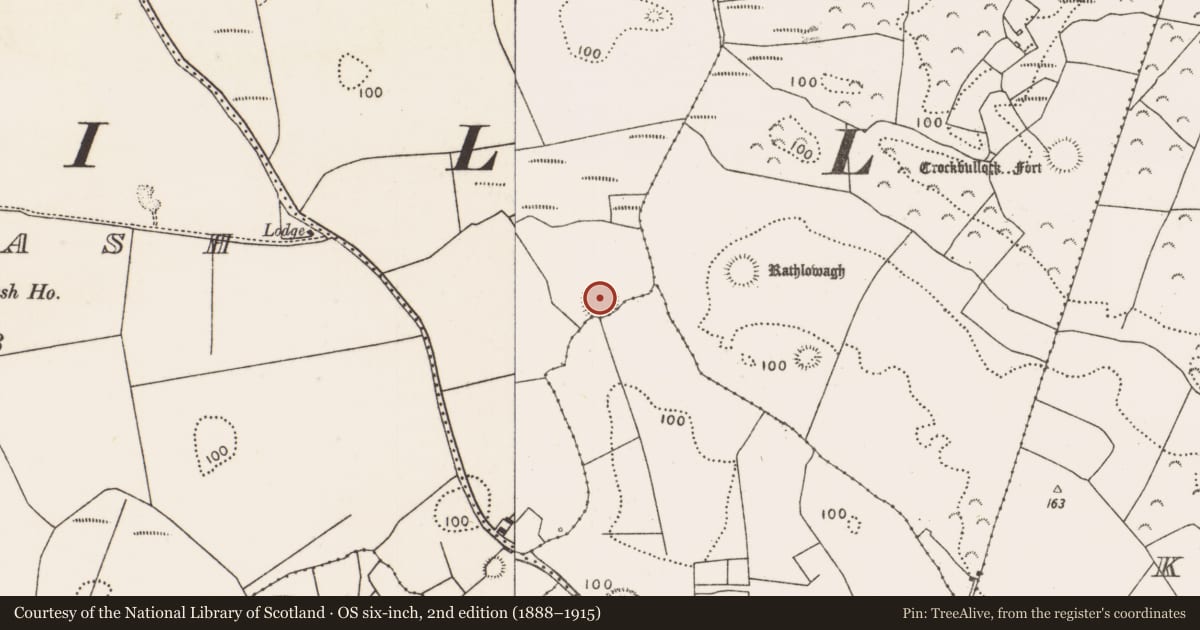 Ordnance Survey six-inch map, 2nd edition (1888–1915) covering the location of Ringfort - rath, Castlereagh, County Mayo, with a pin at the register's coordinates
