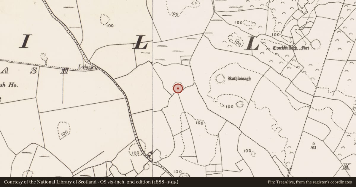Ordnance Survey six-inch map, 2nd edition (1888–1915) covering the location of House - indeterminate date, Castlereagh, County Mayo, with a pin at the register's coordinates