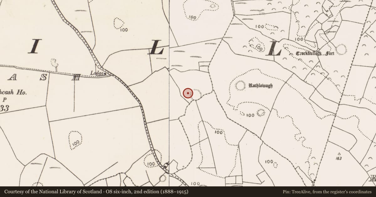 Ordnance Survey six-inch map, 2nd edition (1888–1915) covering the location of House - indeterminate date, Carrowreagh, County Mayo, with a pin at the register's coordinates