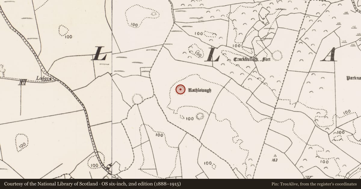 Ordnance Survey six-inch map, 2nd edition (1888–1915) covering the location of Ringfort - rath, Townplots West, County Mayo, with a pin at the register's coordinates