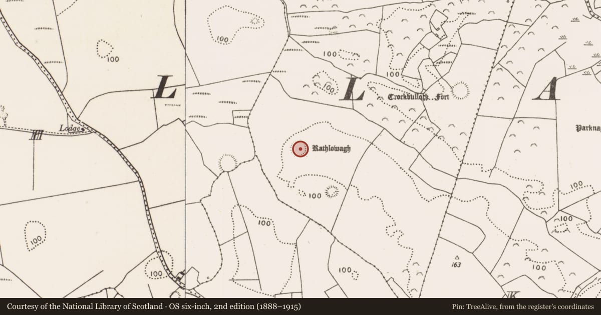 Ordnance Survey six-inch map, 2nd edition (1888–1915) covering the location of Souterrain, Townplots West, County Mayo, with a pin at the register's coordinates