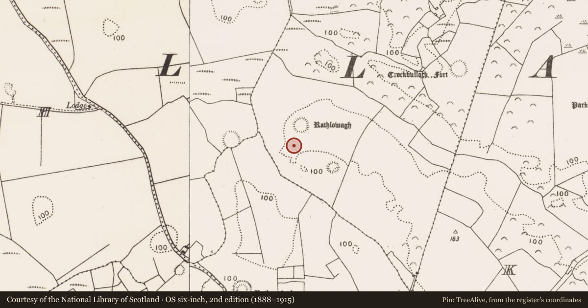 Ordnance Survey six-inch map, 2nd edition (1888–1915) covering the location of Enclosure, Townplots West, County Mayo, with a pin at the register's coordinates