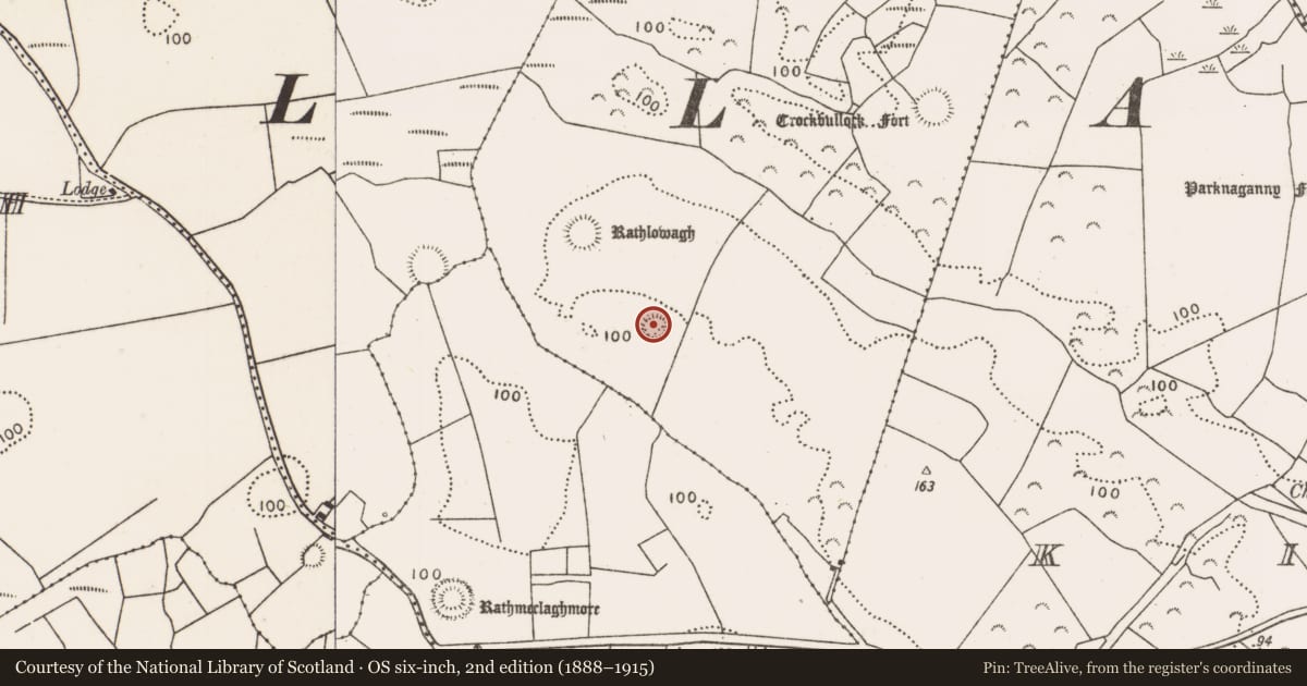 Ordnance Survey six-inch map, 2nd edition (1888–1915) covering the location of Ringfort - rath, Townplots West, County Mayo, with a pin at the register's coordinates