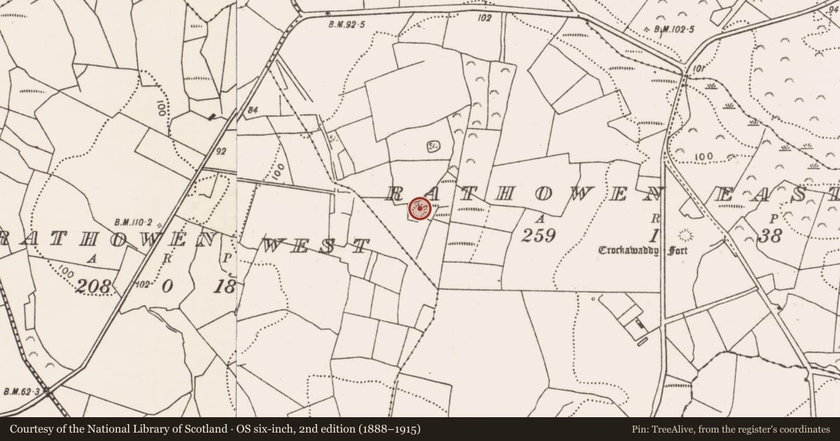 Ordnance Survey six-inch map, 2nd edition (1888–1915) covering the location of Ringfort - rath, Rathowen East, County Mayo, with a pin at the register's coordinates