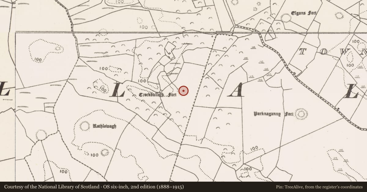Ordnance Survey six-inch map, 2nd edition (1888–1915) covering the location of Ringfort - rath, Townplots West, County Mayo, with a pin at the register's coordinates